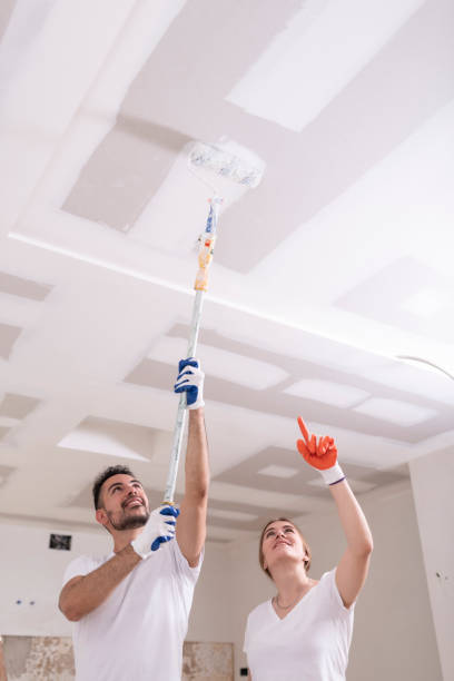 Best Mold Remediation for Rental Properties  in Ridgefield, NJ