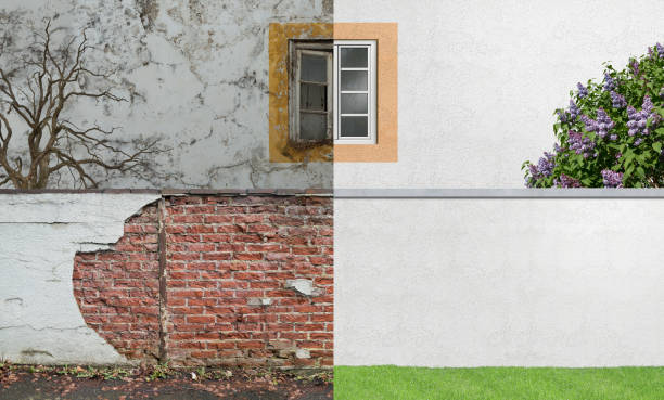 Mold Remediation for Rental Properties in Ridgefield, NJ